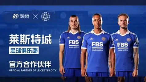 九游体育(中国)官方网站-官网入口-JIUYOUSPORTS