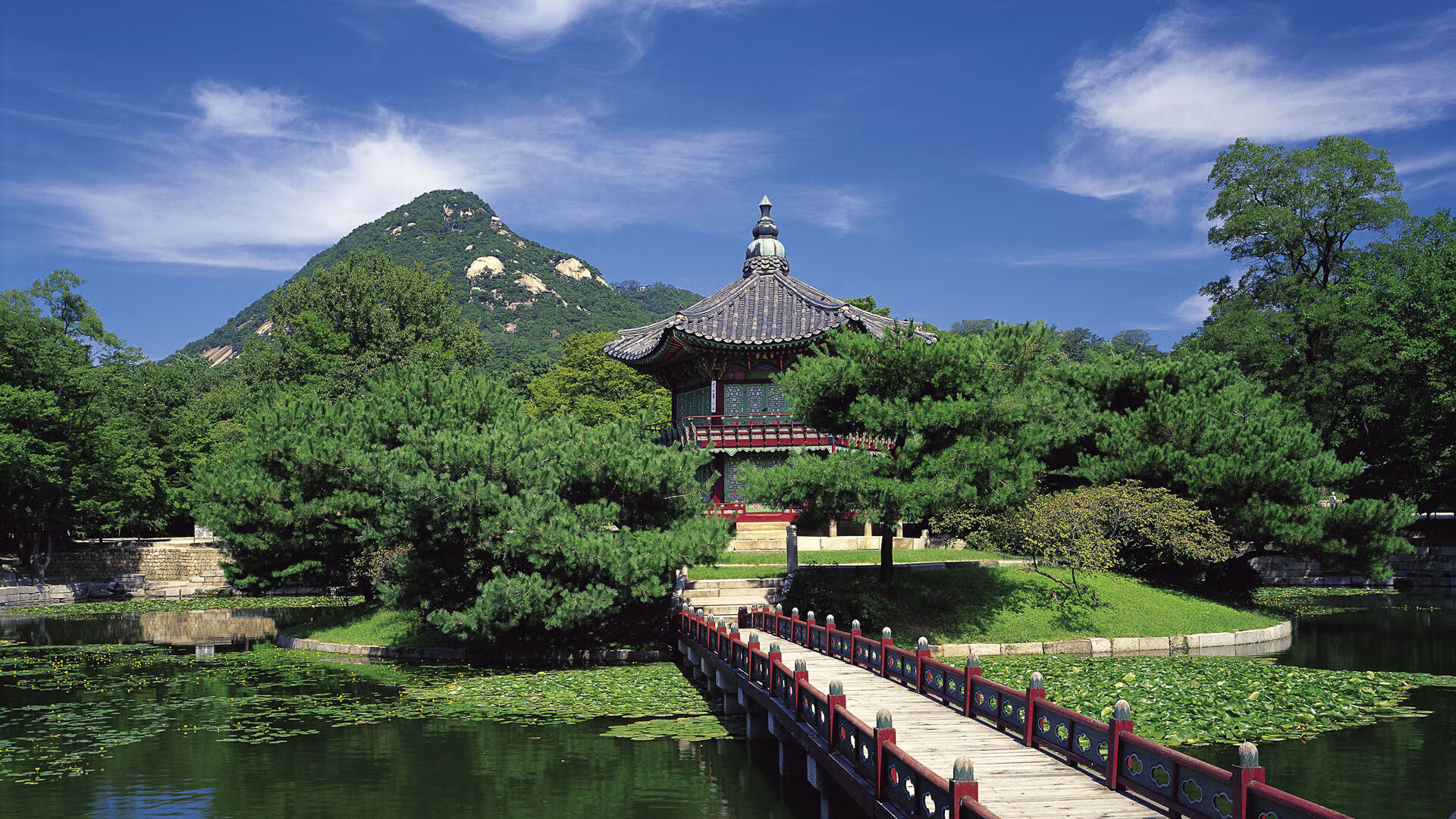 Chinese Taipei未来发展方向：从本土到全球的体育提升