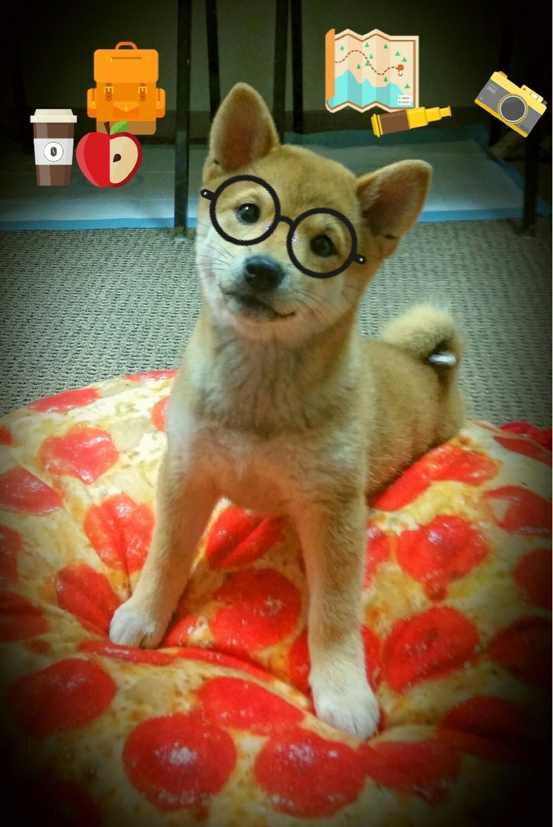 九游官网入口-“运动舞蹈：高能开场，金牛区城北体育馆见证精彩不断！”