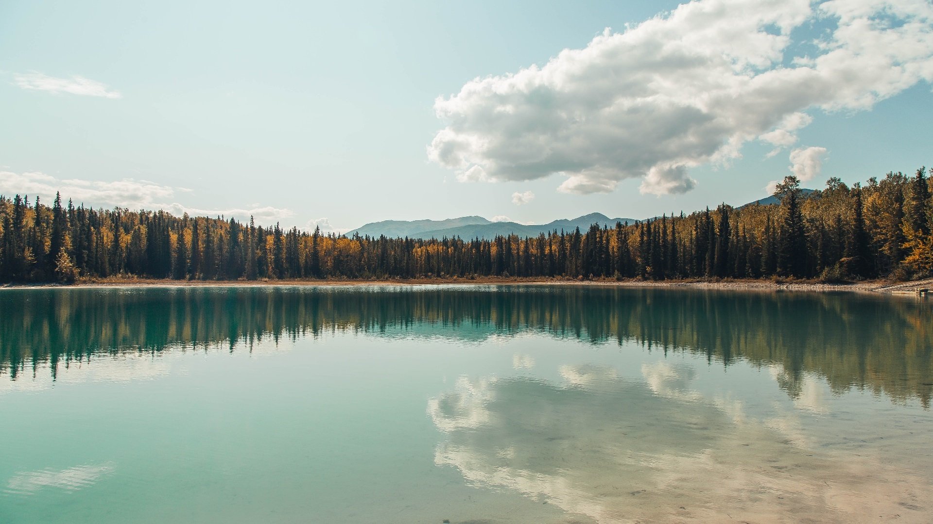 中国香港队赛制解析：如何通过团体赛提高整体实力，香港队员