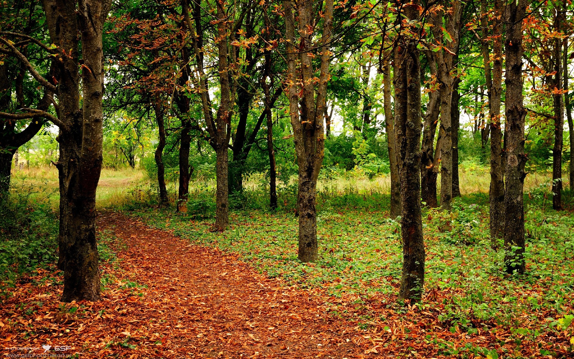 体育新闻中心推动体育赛事多平台内容同步发布，体育 新闻
