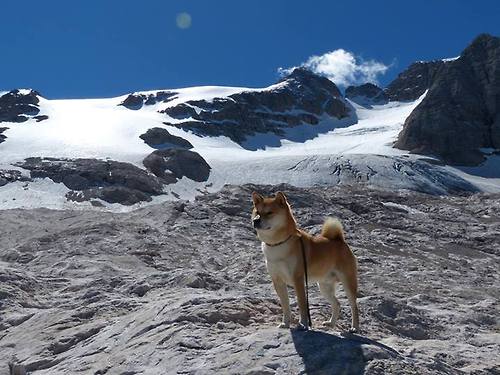九游网页版入口-埃及赛制解析：如何打造更具竞争力的本土赛事，埃及公开赛
