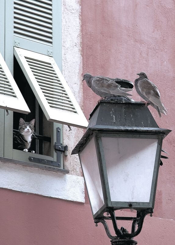 攀岩运动吸引力增强参与度提升,攀岩运动吸引力增强参与度提升的原因