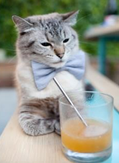 九游娱乐app下载-C罗参与慈善义赛募集善款百万元，c罗做公益