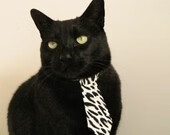 中国足球俱乐部青训营课程体系升级，中国足球青训补偿及培训费