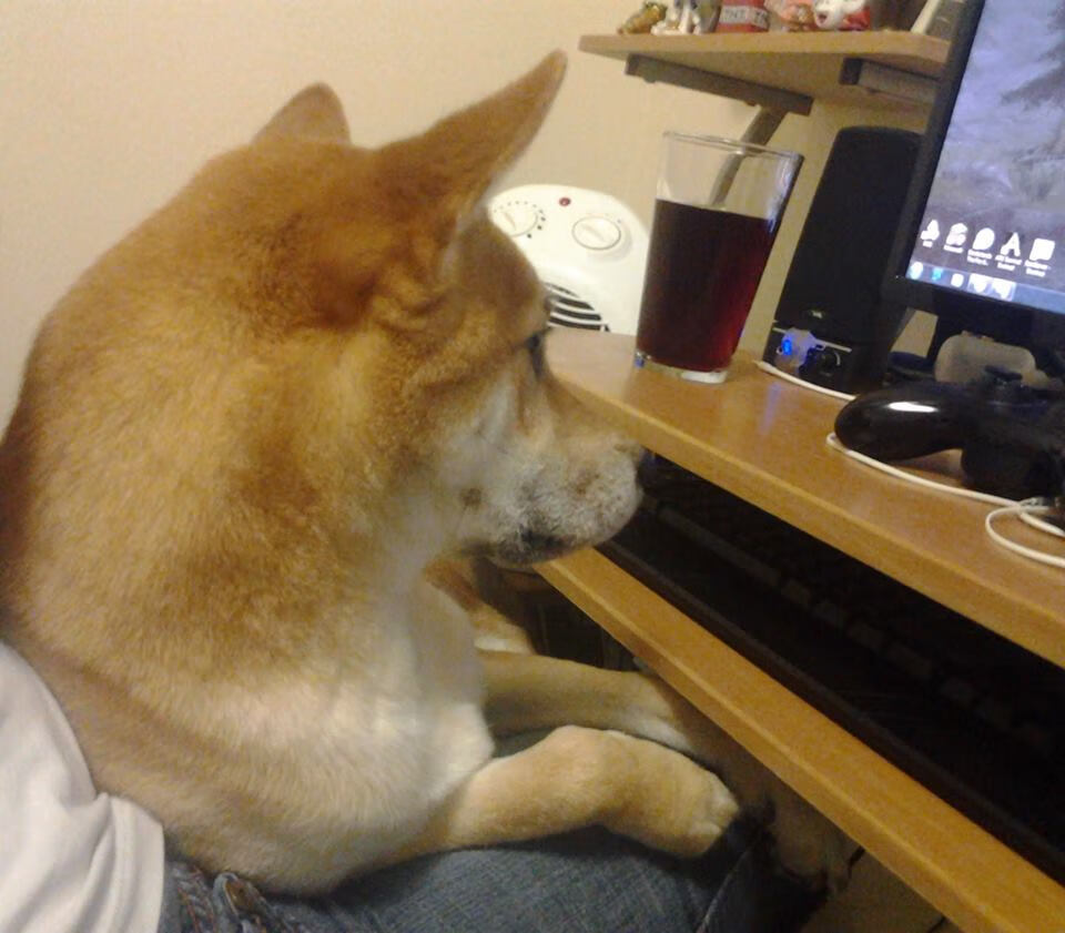 中长距离泳姿节奏稳定，耐力见长，适合长距离的泳姿