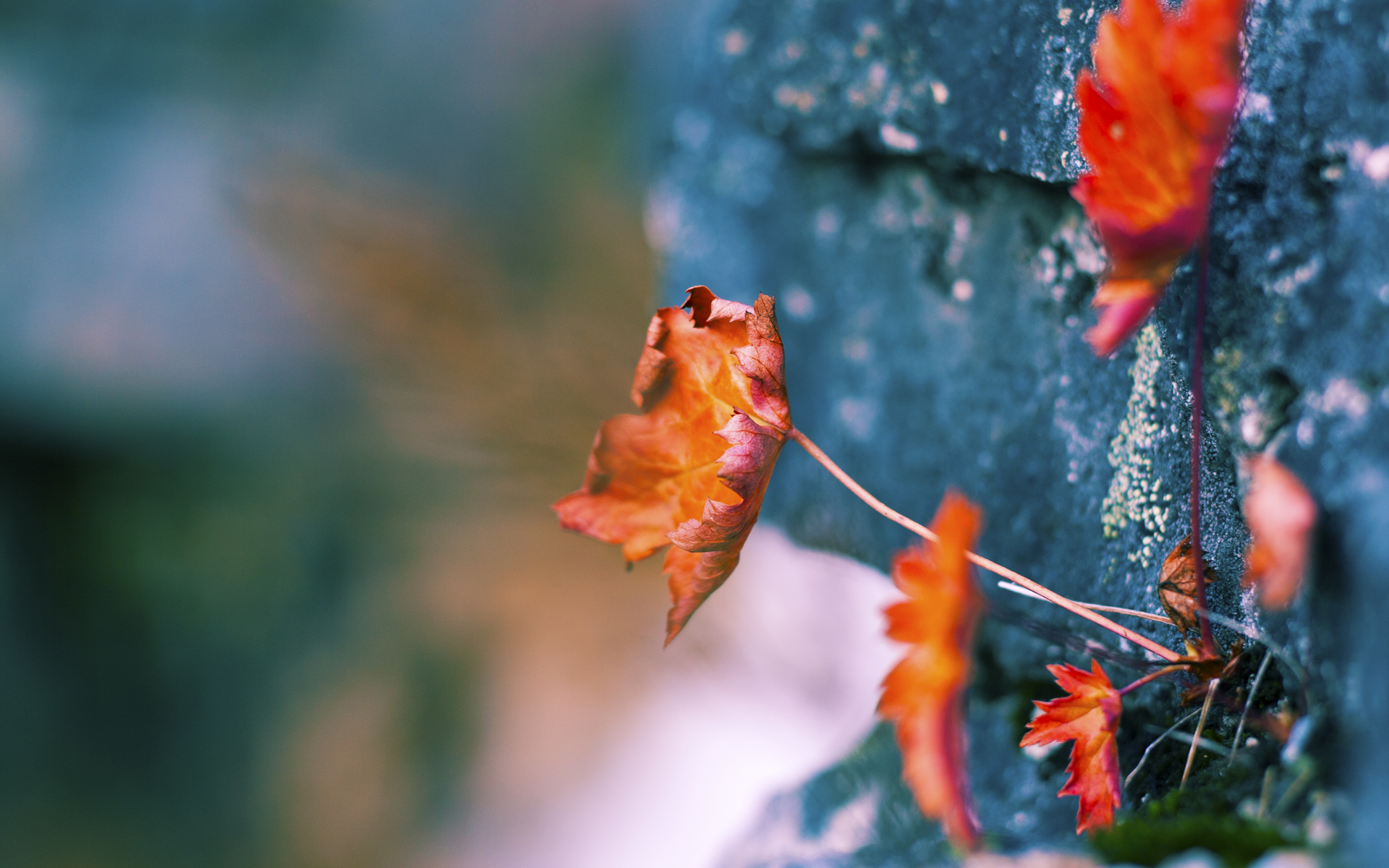 九游官网入口活动-主教练部署三中卫阵型形成后场铁桶阵有效限制对手传控，三中卫阵型最怕什么