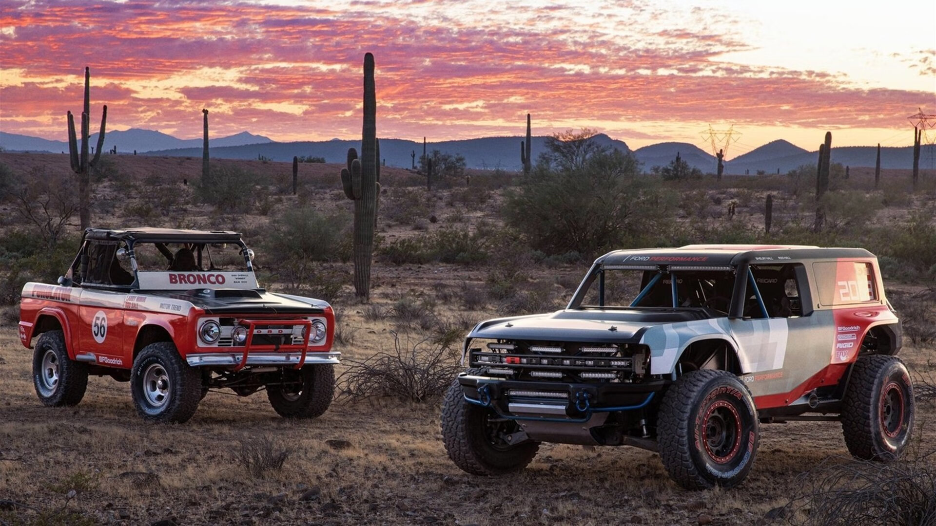 帕特森稳健的球场意识和防守力，为袋鼠队打下坚实基础，帕特森nba
